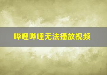 哔哩哔哩无法播放视频