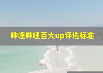 哔哩哔哩百大up评选标准