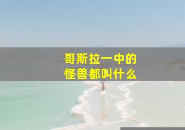 哥斯拉一中的怪兽都叫什么