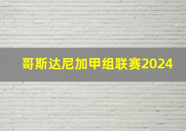 哥斯达尼加甲组联赛2024