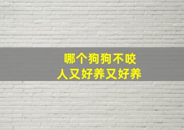 哪个狗狗不咬人又好养又好养