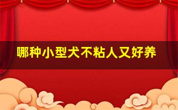 哪种小型犬不粘人又好养