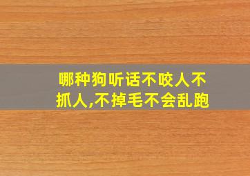 哪种狗听话不咬人不抓人,不掉毛不会乱跑