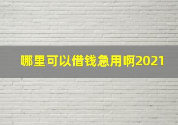 哪里可以借钱急用啊2021