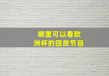 哪里可以看欧洲杯的回放节目