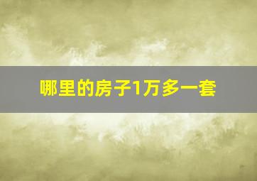 哪里的房子1万多一套