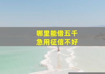 哪里能借五千急用征信不好