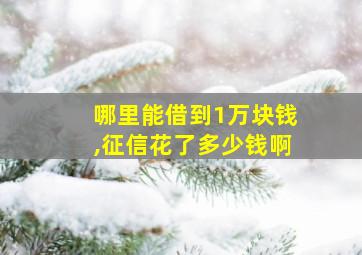 哪里能借到1万块钱,征信花了多少钱啊