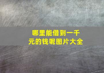 哪里能借到一千元的钱呢图片大全