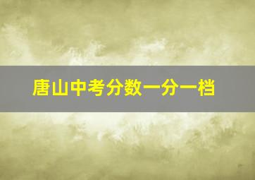 唐山中考分数一分一档