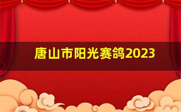 唐山市阳光赛鸽2023