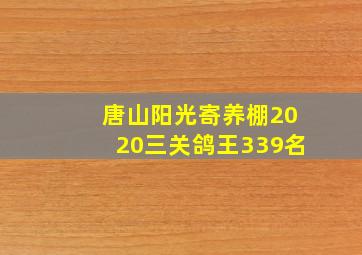 唐山阳光寄养棚2020三关鸽王339名