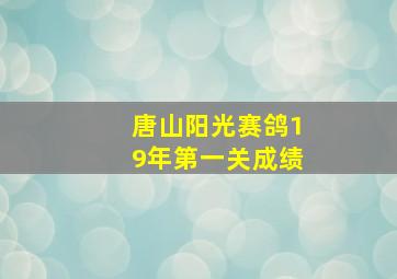 唐山阳光赛鸽19年第一关成绩