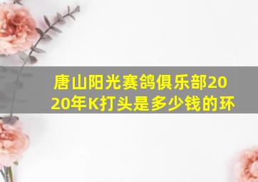 唐山阳光赛鸽俱乐部2020年K打头是多少钱的环