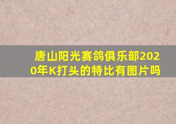 唐山阳光赛鸽俱乐部2020年K打头的特比有图片吗