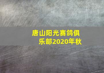 唐山阳光赛鸽俱乐部2020年秋