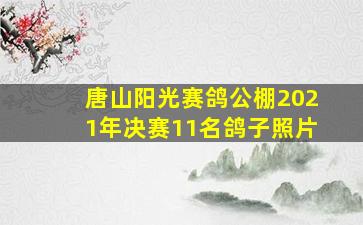 唐山阳光赛鸽公棚2021年决赛11名鸽子照片