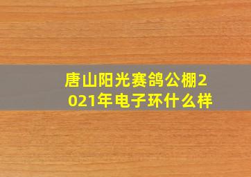 唐山阳光赛鸽公棚2021年电子环什么样