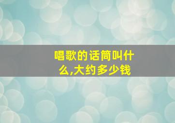 唱歌的话筒叫什么,大约多少钱