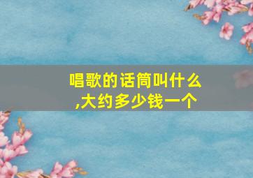 唱歌的话筒叫什么,大约多少钱一个