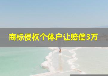 商标侵权个体户让赔偿3万