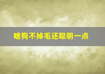 啥狗不掉毛还聪明一点