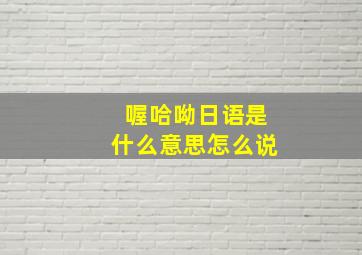 喔哈呦日语是什么意思怎么说