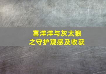 喜洋洋与灰太狼之守护观感及收获