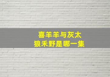 喜羊羊与灰太狼禾野是哪一集