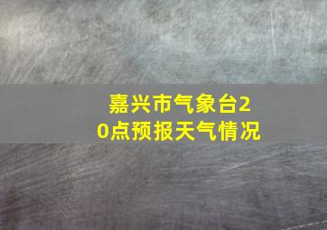 嘉兴市气象台20点预报天气情况