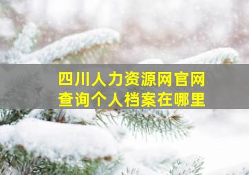 四川人力资源网官网查询个人档案在哪里