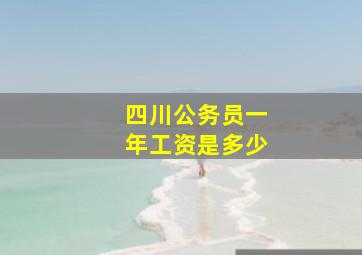 四川公务员一年工资是多少