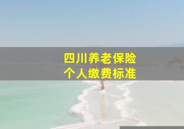 四川养老保险个人缴费标准