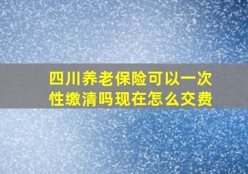 四川养老保险可以一次性缴清吗现在怎么交费