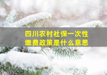 四川农村社保一次性缴费政策是什么意思