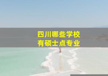 四川哪些学校有硕士点专业