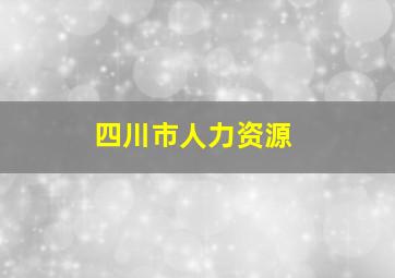 四川市人力资源