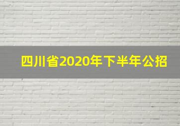 四川省2020年下半年公招