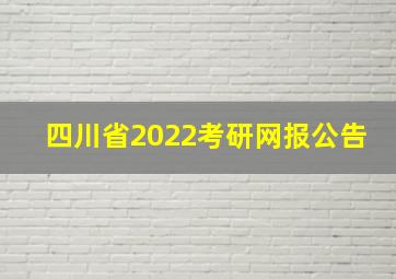 四川省2022考研网报公告