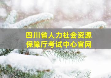 四川省人力社会资源保障厅考试中心官网