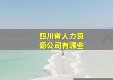 四川省人力资源公司有哪些