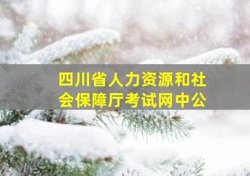 四川省人力资源和社会保障厅考试网中公