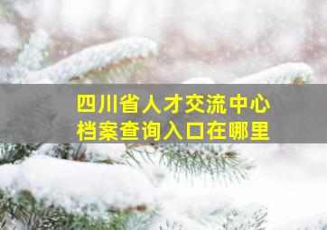 四川省人才交流中心档案查询入口在哪里