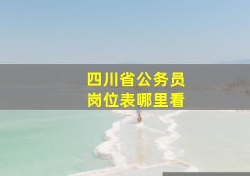 四川省公务员岗位表哪里看