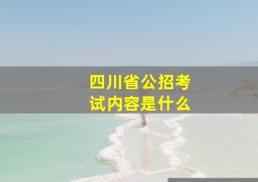 四川省公招考试内容是什么