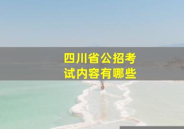 四川省公招考试内容有哪些