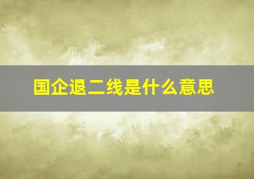 国企退二线是什么意思