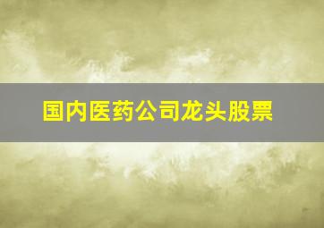 国内医药公司龙头股票