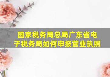 国家税务局总局广东省电子税务局如何申报营业执照