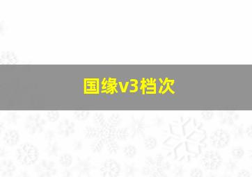 国缘v3档次